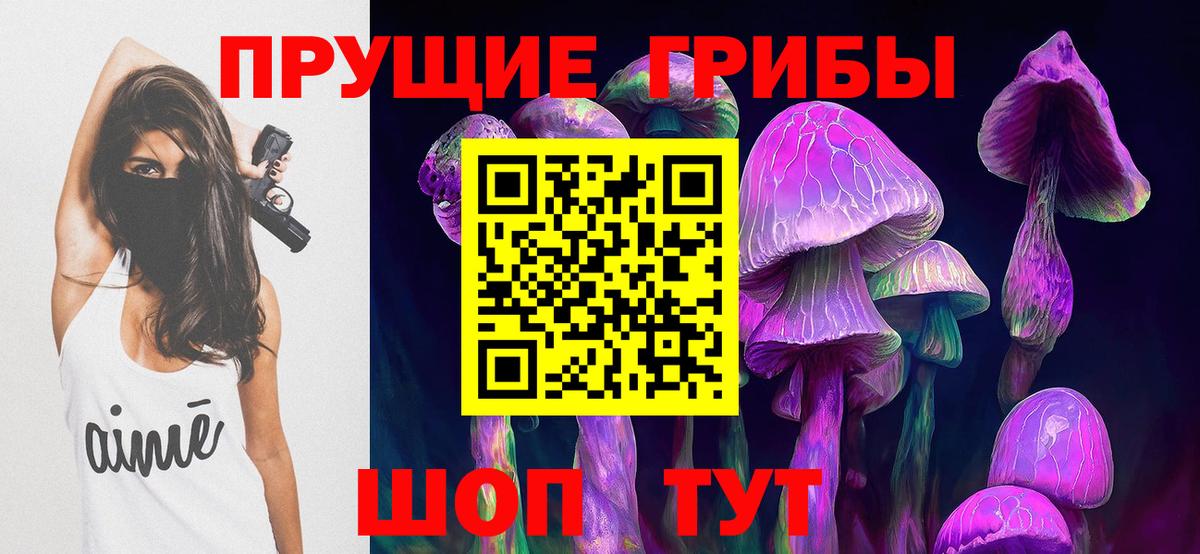 Галлюциногенные грибы MAGIC MUSHROOMS  Псилоцибиновые грибы Psilocybine cubensis  Вход с VPN  Кизляр 